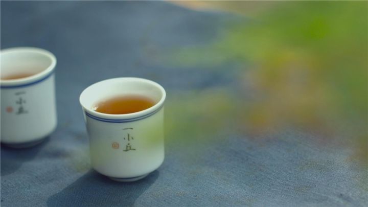 武夷山·山玖如意莊，一杯清茶一萬(wàn)個(gè)品茶人