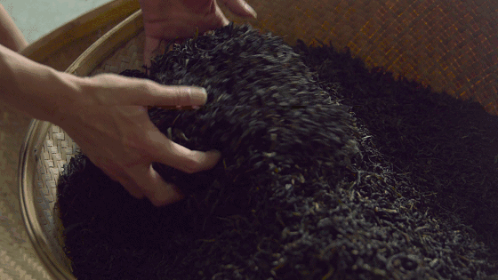 武夷山·山玖如意莊，一杯清茶一萬(wàn)個(gè)品茶人