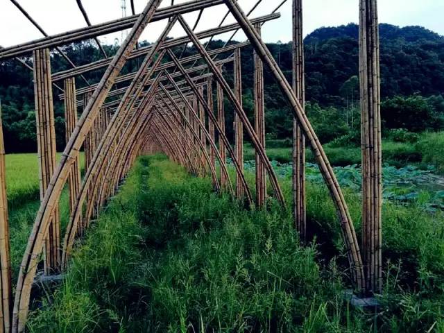 3間開在稻田里的民宿，回歸自然向往田園風(fēng)光