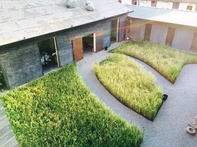 3間開在稻田里的民宿，回歸自然向往田園風(fēng)光