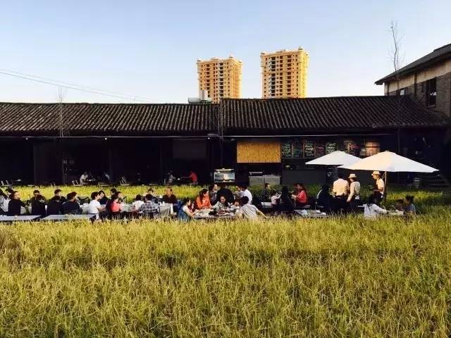 3間開(kāi)在稻田里的民宿，回歸自然向往田園風(fēng)光