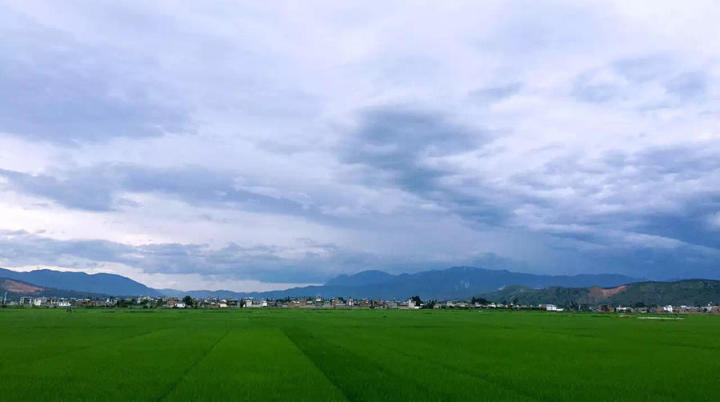 大理密嚴(yán)，繁花盛放找尋已久的內(nèi)心凈土