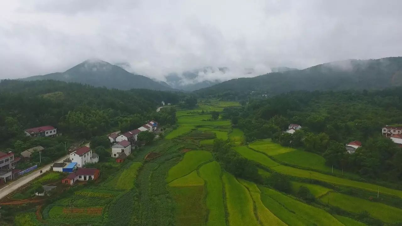 陌上·花溪堂，陌上花開笑顏傾城