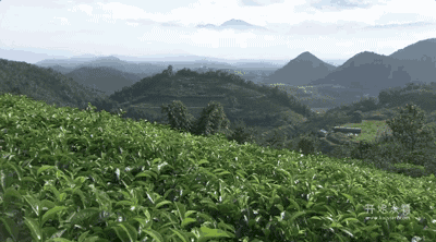 湖州嶺霧，在云霧之巔把自然搬進屋內(nèi)