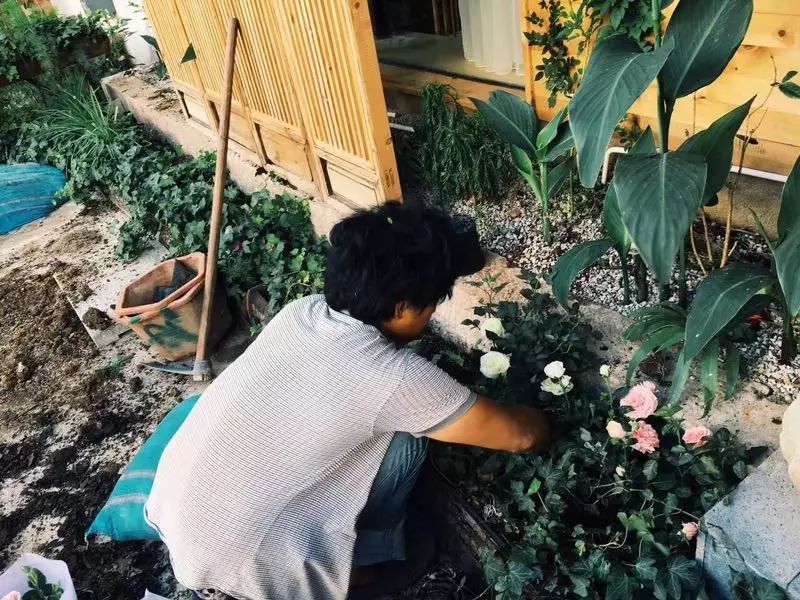 束河桃花塢，在茶馬古道浮生清閑陪父母慢慢變