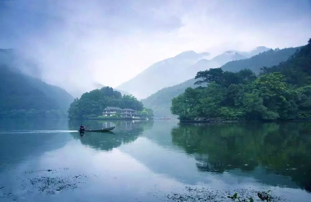 梧桐小筑，一幅靜靜舒展的水墨畫卷