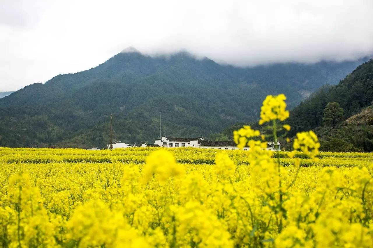 墅家墨娑西沖院，活了的老宅訴說舊日的時(shí)光