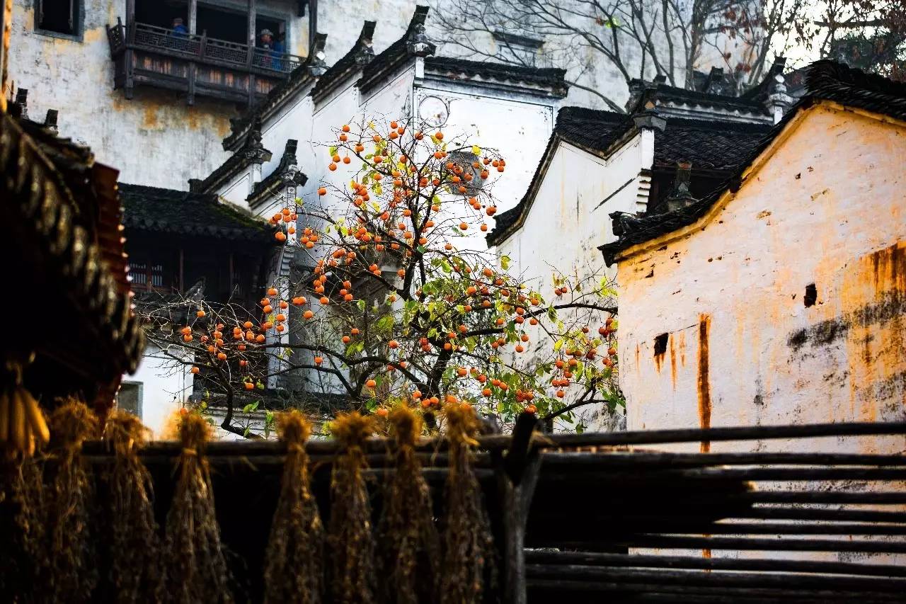 墅家墨娑西沖院，活了的老宅訴說舊日的時(shí)光