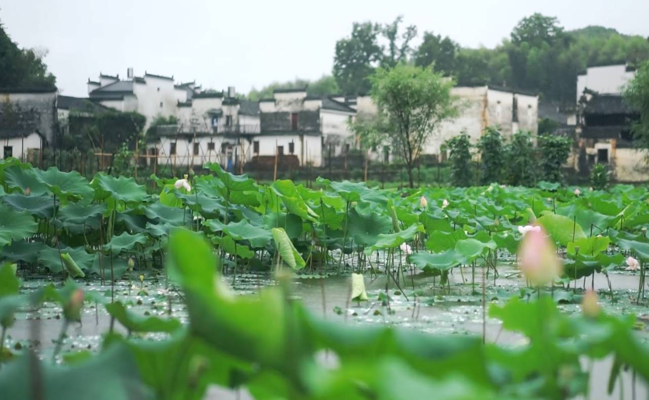 墅家墨娑西沖院，活了的老宅訴說舊日的時(shí)光