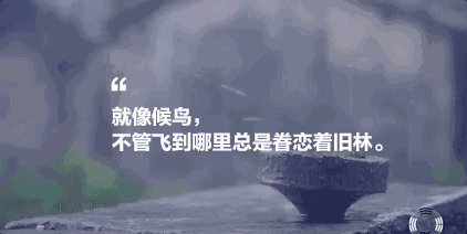 墅家墨娑西沖院，活了的老宅訴說舊日的時(shí)光