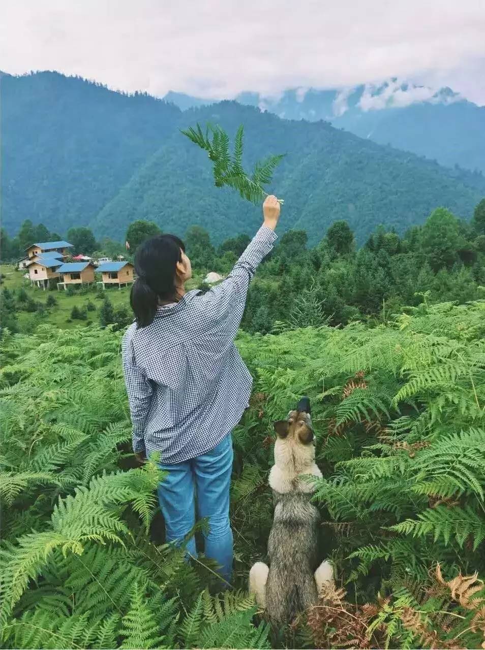 若丁山七號(hào)營地，無數(shù)人向往的“星空露營地”