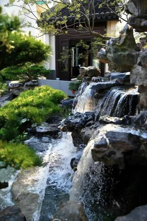 大美江南·蘇洲府,生長在姑蘇古城的園子