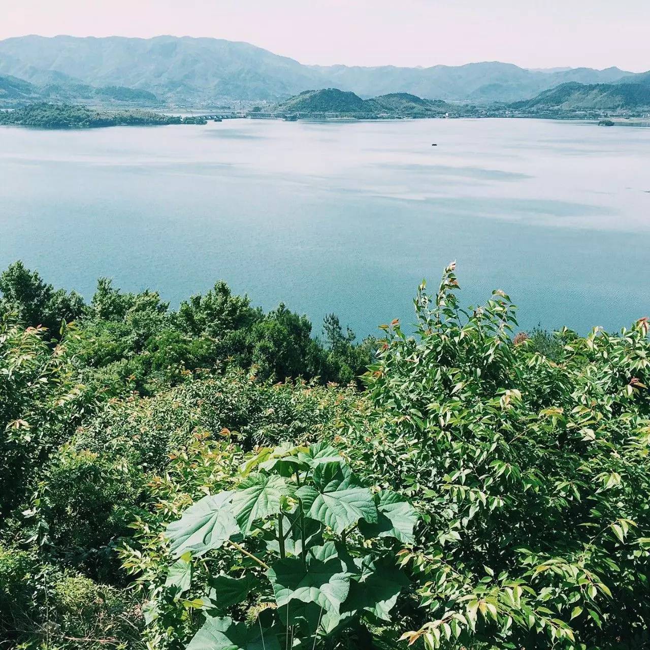 大樂(lè)之野·谷舍，擁有一個(gè)詩(shī)意的世界