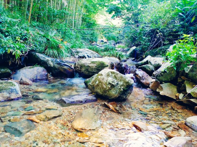 黃山云上民宿，看云卷云舒留住淳樸田園生活