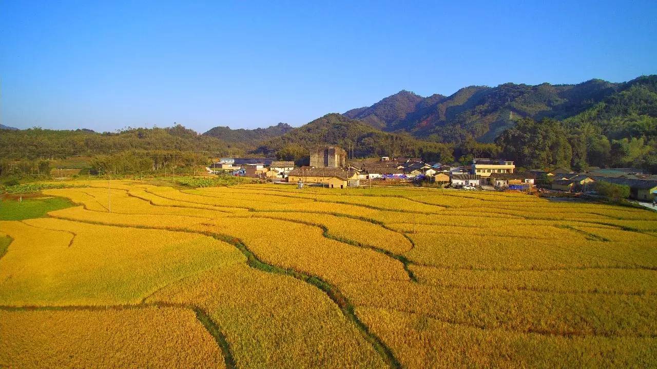 天堂山鄉(xiāng)愛樹民宿，古色古香的童話小鎮(zhèn)