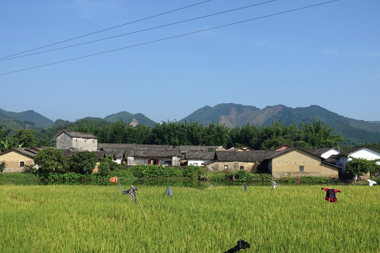 天堂山鄉(xiāng)愛樹民宿，古色古香的童話小鎮(zhèn)