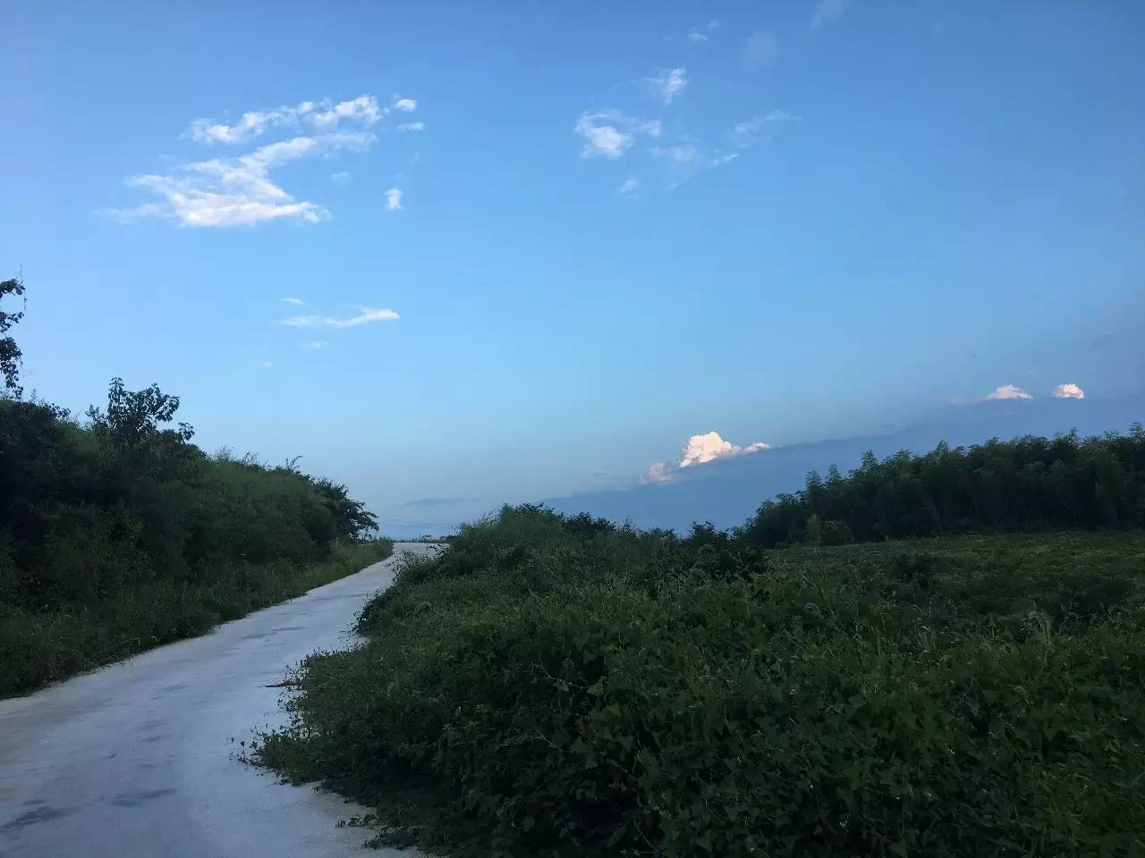 杭州山舍民宿，喝一壺茶聞桂花十里飄香