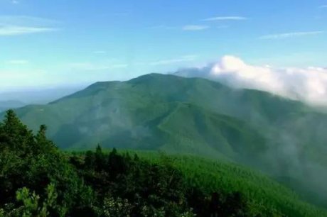 客堂間莫干山民宿，隱居深山聆聽自然