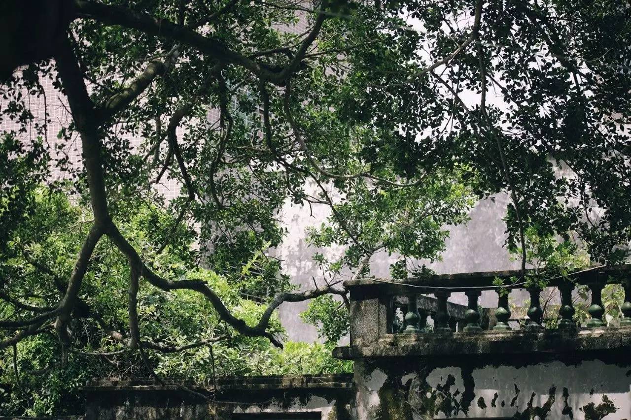 悠居·三朝舍民宿，帶你吃喝玩轉(zhuǎn)南澳島
