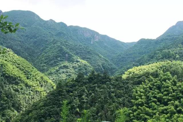 不舍·野馬嶺中國村民宿，樂在其中不忘初心