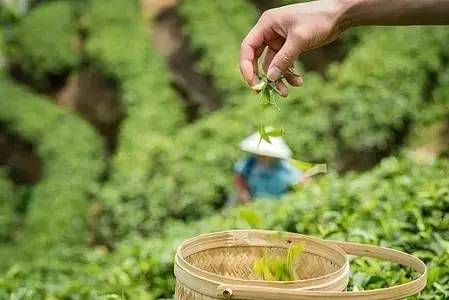 上虞陳溪鄉(xiāng)雪花谷民宿，在山谷里與自然相伴