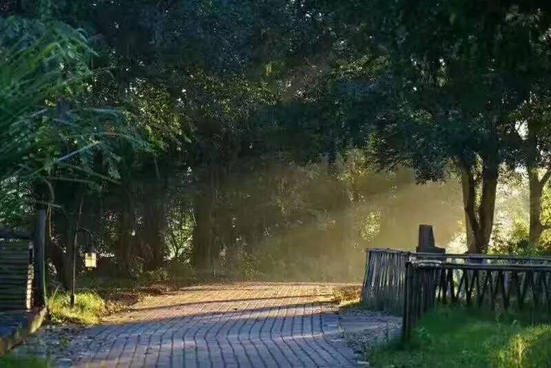 武義一水間民宿，一茶一飲盡享清閑
