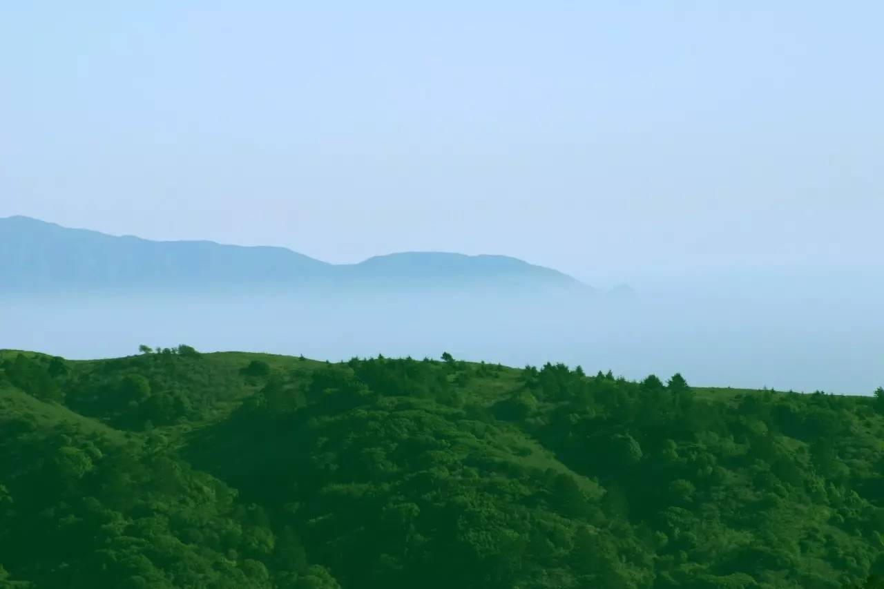 熹園茶宿，禪茶一宿悠然山水間