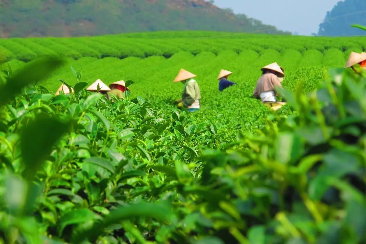 熹園茶宿，禪茶一宿悠然山水間