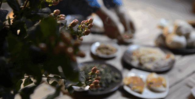 南屏喜舍民宿，從南方飛入徽州白墻灰瓦的歸燕