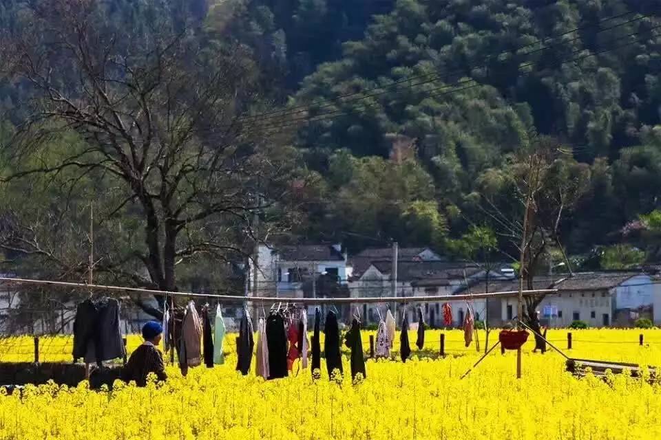 南屏喜舍民宿，從南方飛入徽州白墻灰瓦的歸燕