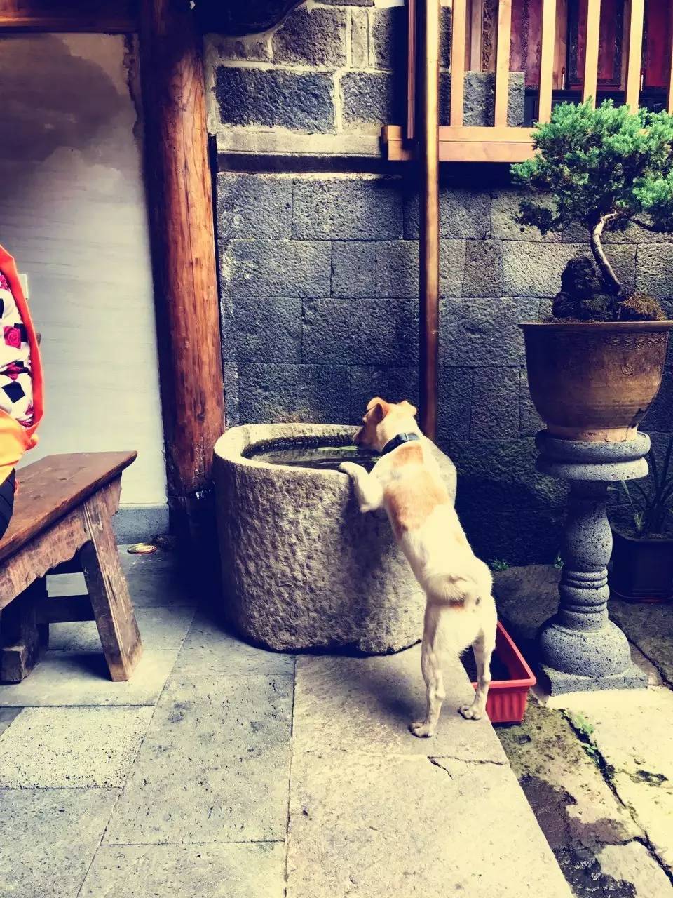 茶馬古道，民宿古宅設(shè)計(jì)改造