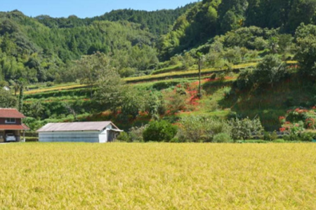 日本民宿體驗(yàn)