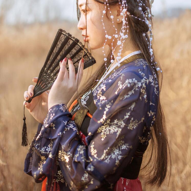 傳統(tǒng)齊胸襦裙，錦繡燙金刺繡漢服圖片