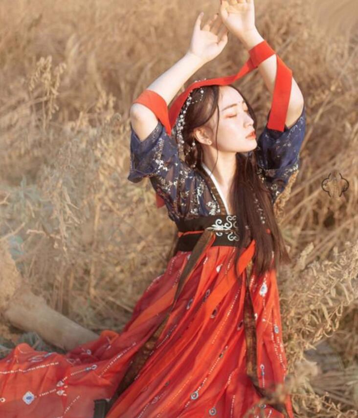 傳統(tǒng)齊胸襦裙，錦繡燙金刺繡漢服圖片