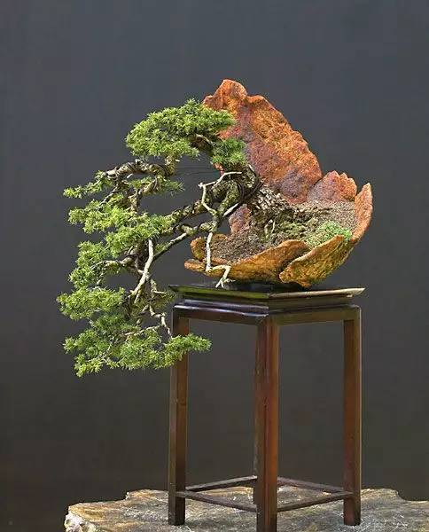 花香滿溢，唯美花藝設(shè)計！