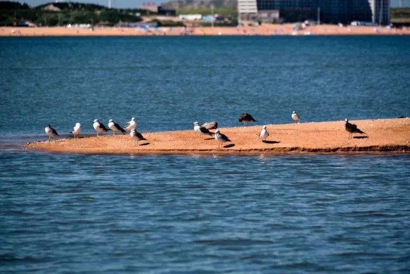 風景游玩攻略：11個絕美海島路線約嗎？