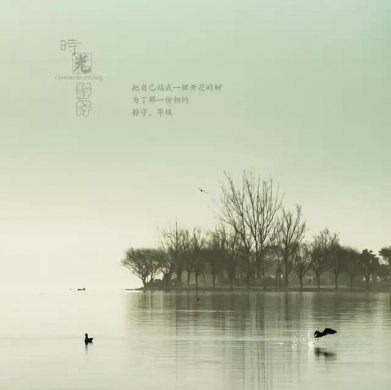 風(fēng)景攝影作品時(shí)光靜好：邛海景色！