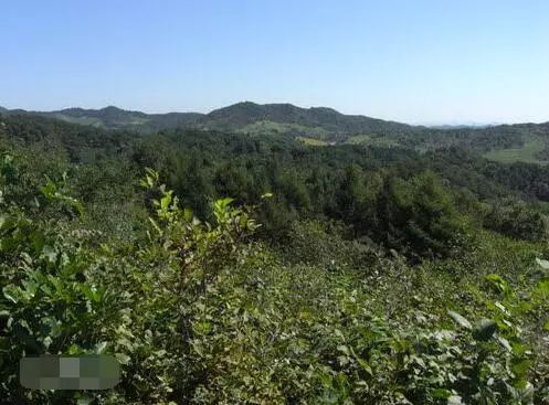 長白山余脈在昌圖，三省交界風景最美地