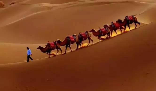 《天邊的駱駝》，震撼的沙漠風(fēng)景之美!