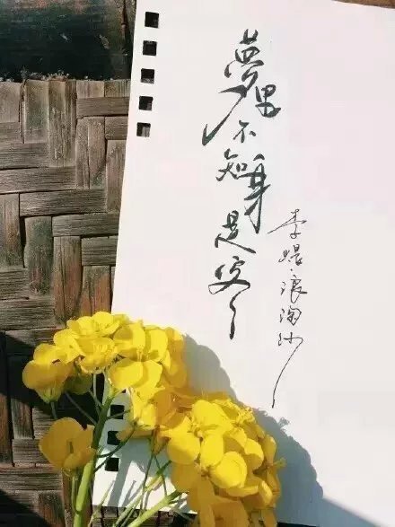 別致新穎的書法字體，美的很有意境！