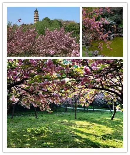 唯美風(fēng)景圖片，踏青游玩美翻天！