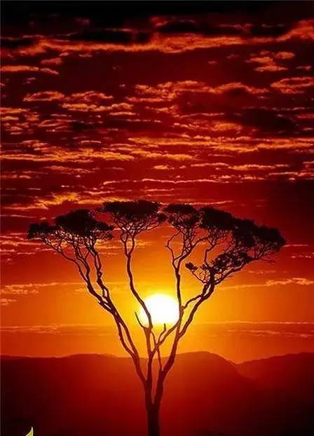 美到骨子里的夕陽風景：青山依舊在，幾度夕陽