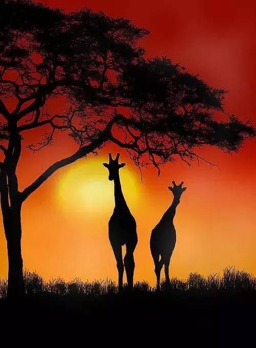 美到骨子里的夕陽風景：青山依舊在，幾度夕陽