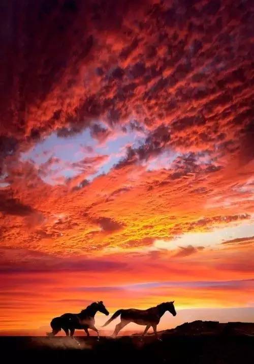 美到骨子里的夕陽風(fēng)景：青山依舊在，幾度夕陽