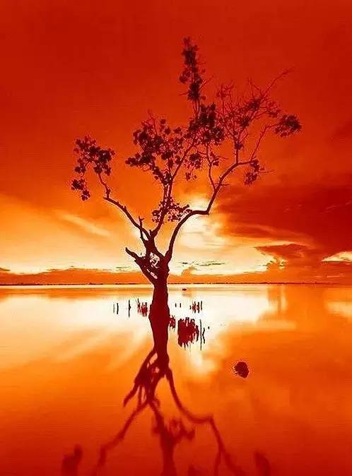 美到骨子里的夕陽風(fēng)景：青山依舊在，幾度夕陽