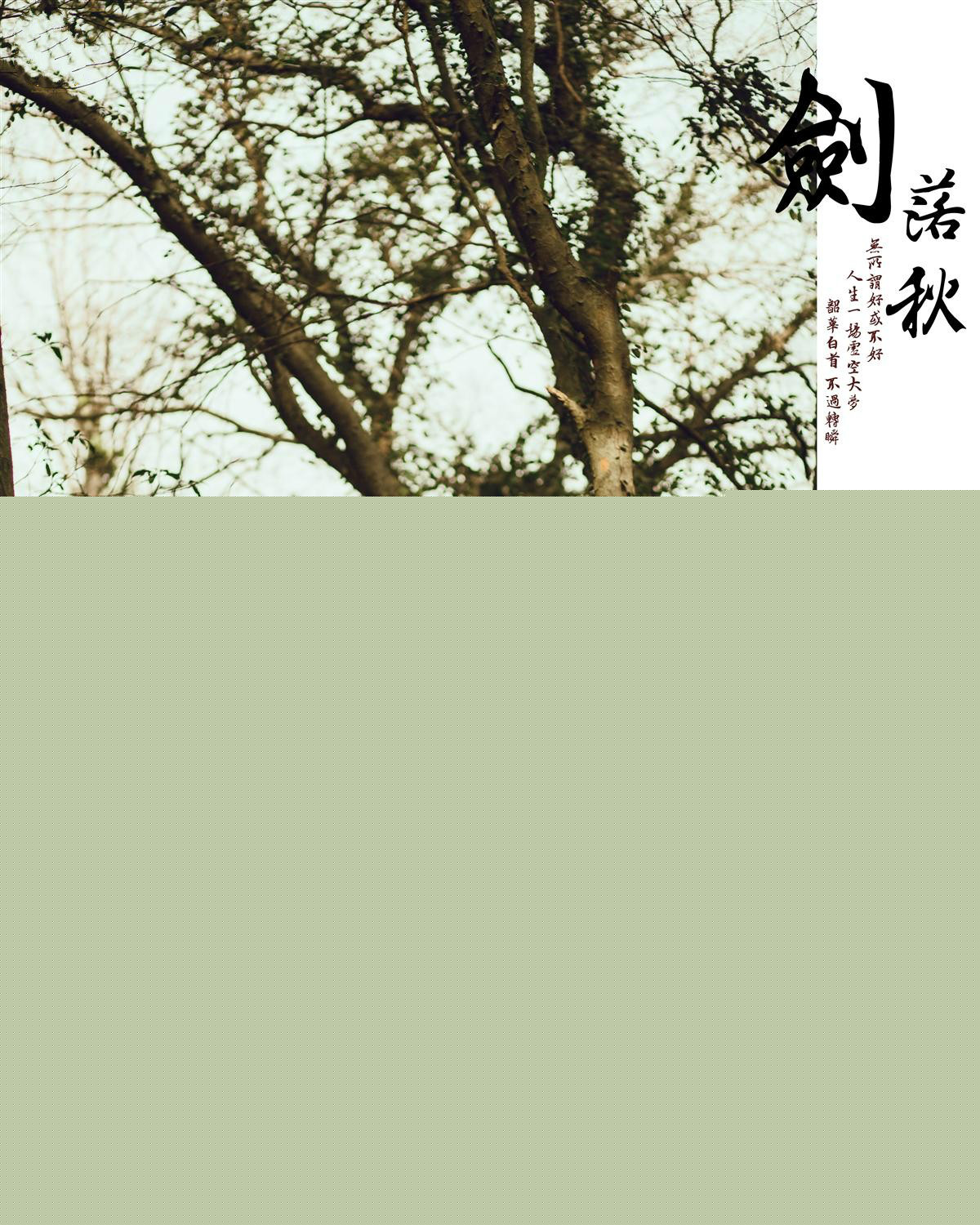 劍落秋-古裝攝影：韶華白首，不過浮生一闕