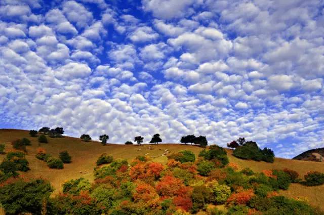 十處優(yōu)美的山水風(fēng)景，錦繡山河如詩(shī)如畫！