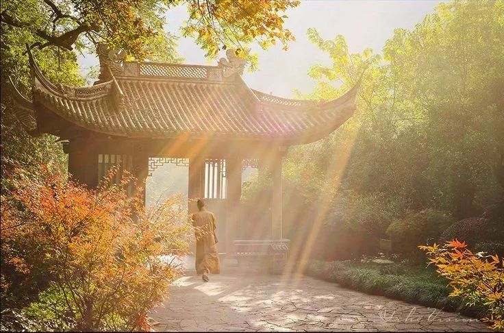 美呆了！祖國的秋色盡收眼底