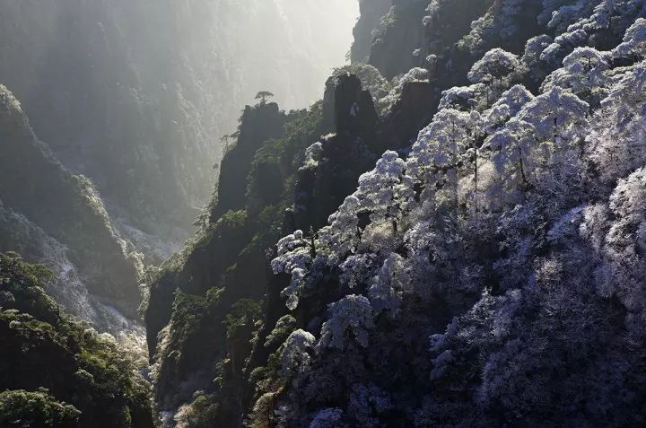 雪后黃山風(fēng)景宛如人間仙境，舞一曲雪中霓裳羽