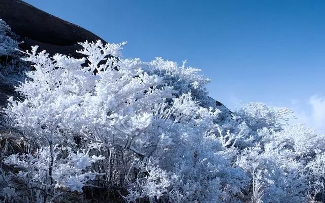 雪后黃山風(fēng)景宛如人間仙境，舞一曲雪中霓裳羽